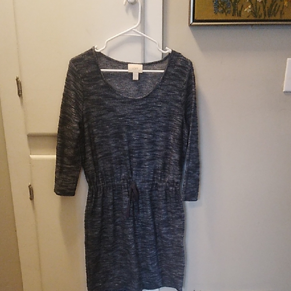 LOFT Navy and Cream Knit Dress